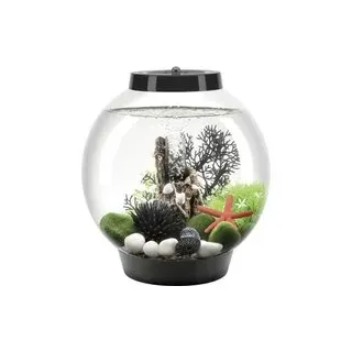 Oase 71999 biOrb CLASSIC 15 LED schwarz Aquarium 15 l mit LED-Beleuchtung