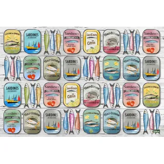 Vilber A050 V01 Sardines. 2942 DU01 Tischdecke Tapete Futterstation Vogeltränke, 45,6 x 30.5 x 0.2 cm, Mehrfarbig