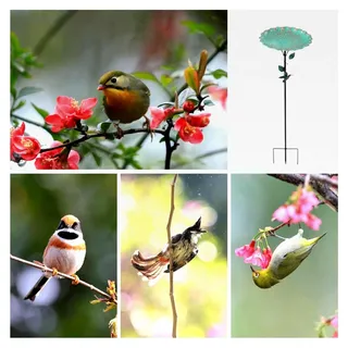 Metall Vogelbad | Garten Vogelbad mit Futterstelle - Rostfreie Mehrfunktionale Vogeltränke für Hof, Weg und Auffahrt
