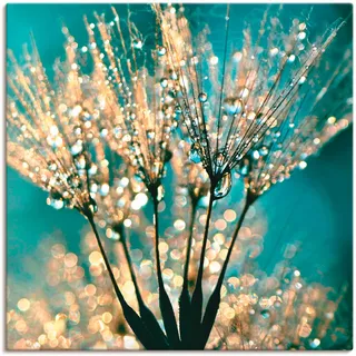 Artland Wandbild "Pusteblume Schirmchen abstrakt" Blumen 1 Stk. tlg. als Leinwandbild, Poster in verschied. Größen, farbe bild(er): blau