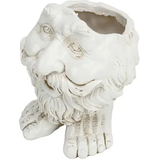 Gesichtsstatue-Pflanzgefäß, einzigartiges Bild, niedliche, lustige Form, personalisierbar, wasserfester Kopf, Blumentopf für Gartendekoration, Typ 1