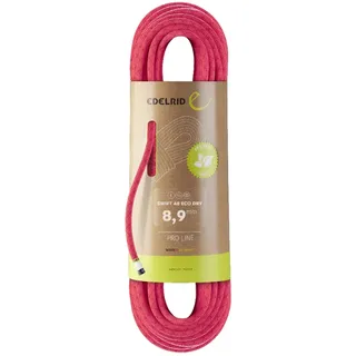 Edelrid Swift 48 Eco Dry Kletterseil Icemint