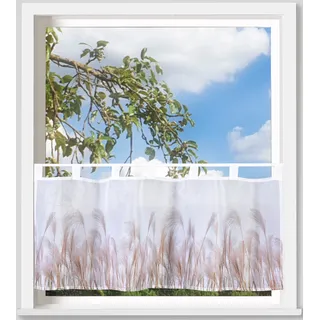 Weckbrodt Scheibengardine »Pampasgras« Schlaufen 1 Stk. tlg. Bistro, Voile, bedruckt, floral, HxB 45x120cm, Gardine, Store, bunt