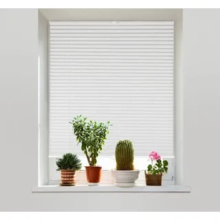Sekey Plissee ohne Bohren Verdunkelung, Fenster Plissee Klemmfix Jalousie, Weiß, 80x210cm, - Sekey
