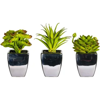 Leonique Kunstpflanze »Loreen« im Topf, 3er Set, grün