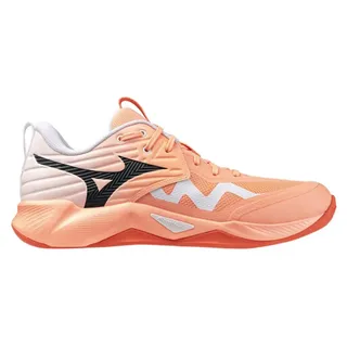 Mizuno Wave Momentum Pro Indoor-sportschuhe Orange EU 43 Orange EU 43 - Orange