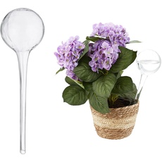 Bild Bewässerungskugel 2er Set, dosierte Pflanzen Bewässerung, Blumentopf, Gießhilfe Büro, Glas Ø 9 cm, transparent