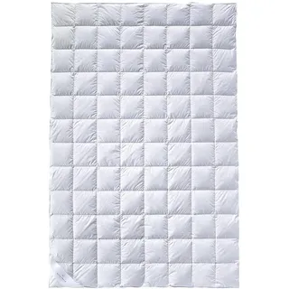 billerbeck Daunendecke – 155 x 220 cm – Sommerdecke, leichte Sommerdecke – 90 % Daune, 10 % Federn