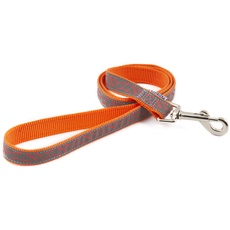 Ancol Patterned Collection Hundeleine, Knochen, 1 m x 19 mm, Orange