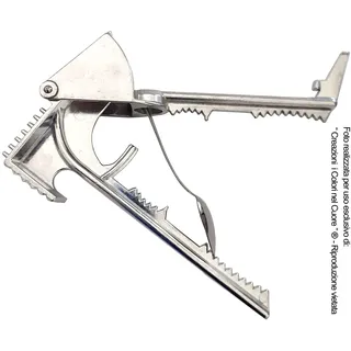 Knoblauchpresse Fleischklopfer Fischöffner Flaschenöffner Olivenschnacker Nussknacker Öffner Dosen Fleischwolf Gemüseschneider und Löffel viele Funktionen 14 Anwendungen Saftpresse Unentbehrliches