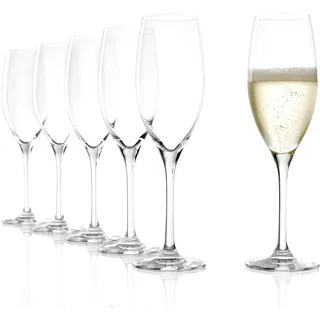 Stölzle Lausitz Classic Champagnergläser Sektgläser 240 ml, 6er-Set | Champagnergläser und Sektkelche für Sekt, Prosecco und Champagner, aus Kristallglas, stoßfest & spülmaschinengeeignet
