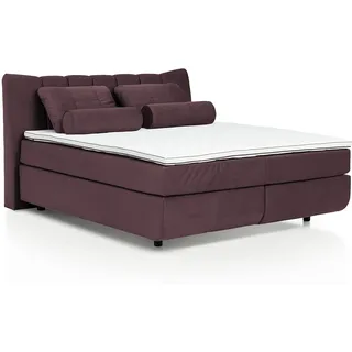 Mivano Free Boxspringbett/Bett mit 7-Zonen-Taschenfederkern-Matratze und Basic Topper/Härtegrad H2 + H3, Velours Cosy Lila, Liegefläche 180 x 200 cm