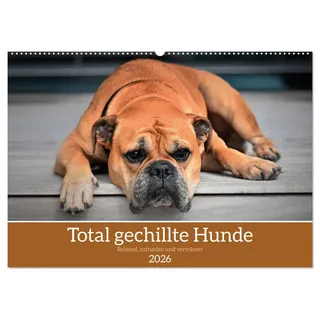 Calvendo Total gechillte Hunde (Wandkalender 2026 DIN A2 quer), CALVENDO Monatskalender: Hundekalender mit gechillten Hunden (CALVENDO Tiere)