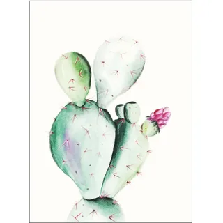 KOMAR Wandbild Prickly Pear Watercolor", Blätter Pflanzen 1 Stk. tlg. zur Dekoration - ohne Rahmen farbe bild(er): bunt