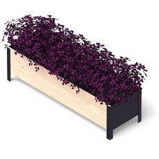 Bild Holz Hochbeet für Garten, Terrasse und Balkon - Blumenkasten mit Innenvlies und wasserdichter Kunststoffeinlage - Pflanzkasten für Innen- und Außenbereich, 118x36x32, Natur