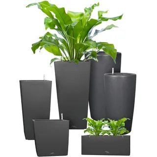 Pflanzwerk® ÖKOSYSTEM Pflanzkübel Pipe - Blumentöpfe Übertöpfe mit BEWÄSSERUNGSSYSTEM - 58cm/Ø34cm ANTHRAZIT *Indoor & Outdoor Blumenkübel* *UV-Schutz* *Premium Markenqualität*