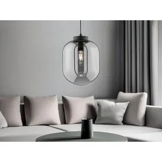 LED Pendelleuchte Industrial einflammig Schwarz mit Rauchglas Design Kugellampe