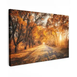 MuchoWow Leinwandbild Wald - Herbst - Bäume - Waldweg - Natur Wanddeko 90x60 cm , Bernsteinfarben , Textil , Kiefer , Rechteckig , 90x60 cm , FSC 100% , gerahmt , Bilder & Rahmen, Bilder, Leinwandbilder