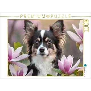 Calvendo Puzzle Portrait eines schwarz-weißen Chihuahua der durch Magnolien schaut | 1000 Teile Lege-Größe 64x48cm Foto-Puzzle für glückliche Stunden