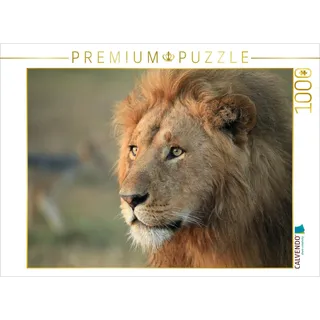 CALVENDO Puzzle Löwen – Morgenspaziergang 1000 Teile Puzzle quer | Lege-Größe cm Foto-Puzzle für glückliche Stunden
