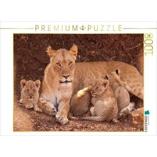 CALVENDO Puzzle Wilde Löwen 1000 Teile Puzzle quer | Lege-Größe cm Foto-Puzzle für glückliche Stunden