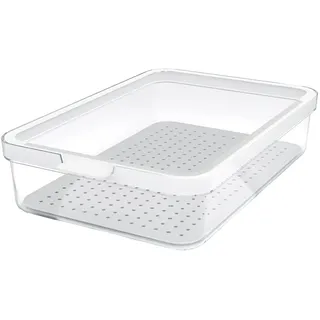 Rotho Frischhaltedose transparent 2,6 l