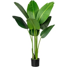 Bild Künstliche Zimmerpflanze »Strelitzia«, grün