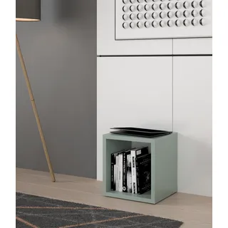 FORTE Regalwürfel Regalwürfel, B/H/T 38,2x38,3x32,9 cm, langlebige Beschichtung, grün