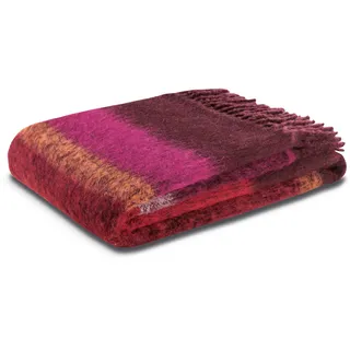 Biederlack Plaid »Flausch Look mit hochwertigen Fransen« Flausch-Optik