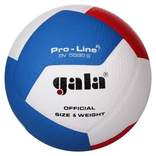 Gala Volleyball "Pro-Line BV5595S"