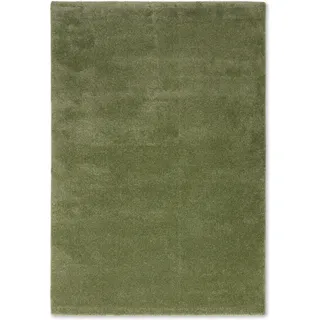 Astra Savona 260 160 x 230 cm Grün