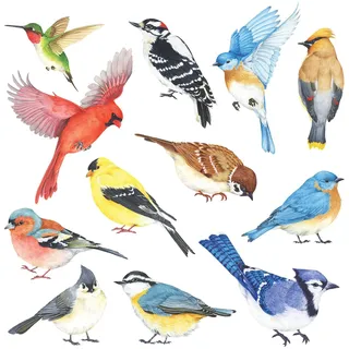 DECOWALL DS2-8042 Kleine Vögel Wandtattoo Wandsticker Wandaufkleber Wanddeko für Wohnzimmer Schlafzimmer Kinderzimmer(Klein)