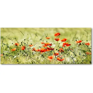 Tulup® Küchenrückwand Spritzschutz aus Glas -125x50 -Spritzschutz auf gehärtetes Glas Deko Blumen & Pflanzen Mohnblumen - Rot