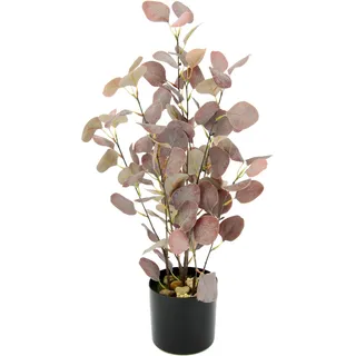 I.GE.A. Kunstpflanze »Eukalyptus« Im Topf, mit Natursteinchen, rot
