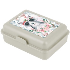 Baagl Brotdose Kinder für Schule – Lunchbox für Mädchen, Jungen, Kindergarten – Jausenbox, Brotzeitbox, Brotbox, Snackbox (Waschbär)