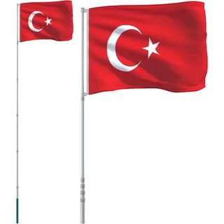 vidaXL Flagge der Türkei mit Mast 5,5 m Aluminium - Silber
