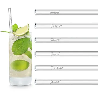 HALM Glasstrohhalme Set Prost Edition International in 6 verschiedenen Sprachen Cheers Santé Salud Cin-Cin Spülmaschinenfest Wiederverwendbar