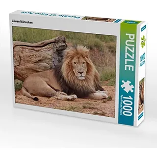 Calvendo Puzzle Löwen Männchen 1000 Teile Puzzle quer | Lege-Größe cm Foto-Puzzle für glückliche Stunden