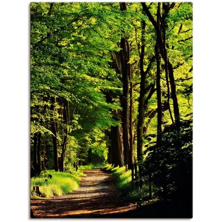 Artland Wandbild »Weg im Wald« Wald 1 Stk. tlg. als Leinwandbild, Poster in verschied. Größen, grün