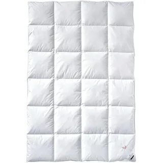 Billerbeck Daunendecke - E04 Gold Edition - Bettdecke für den Winter - 155 x 220 cm Decke mit echten Daunen - Wärmestufe Warm