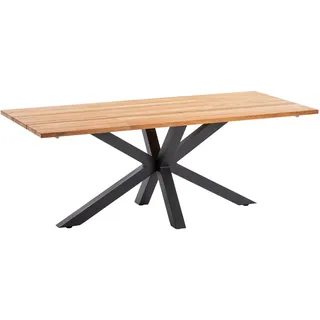 Niehoff Gartentisch 200 x 95 x 76 cm Braun/Grau