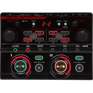 Boss RC-202