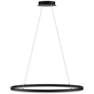 Paul Neuhaus Titus, Anthrazit, 38W 5150lm schwarz,