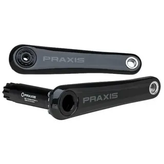 Praxis Zayante M30