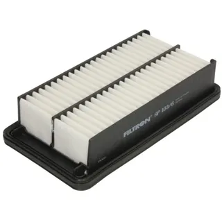 Filtron Luftfilter FILTRON AP 103/6