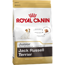 Bild Jack Russel Terrier Junior 1,5 kg