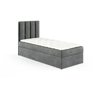 GUTTO Boxspringbett 100x200 cm Grau Velour Samt Ehebett Kinderbett Polsterbett aus Samt - Grau