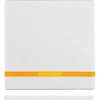 Berker Wippe Linsen 16216089