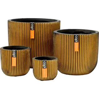 Capi Gemischte Box mit 4 Töpfen Groove Gold