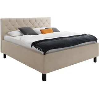 Meise Möbel Polsterbett San Remo